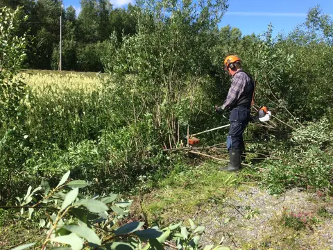 Frönäsuds husvagnscamping