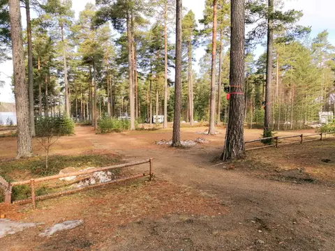 Norra Dellen Camping