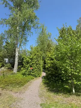 Kesäniemi
