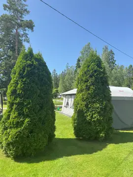 Kesäniemi