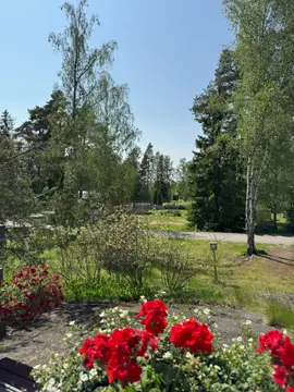 Kesäniemi