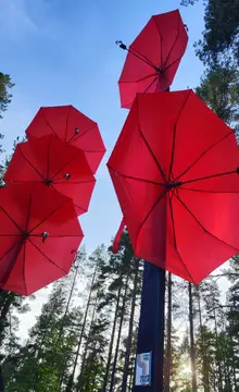 Kyyjärvi Camping