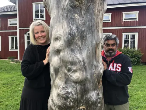 Älvstalodges