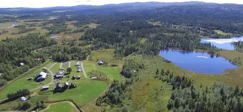 Tubbehaugen