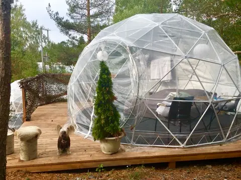 FinnDome