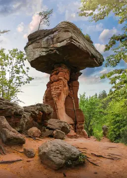 Waldjugendzeltplatz Am Schafberg