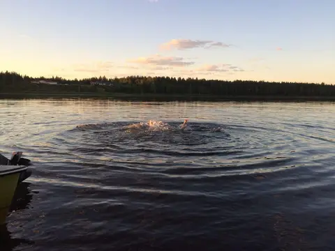 Pajala Camping