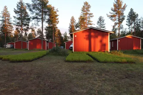 Pajala Camping