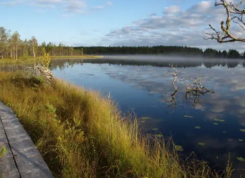 Koirasalmen luontotupa