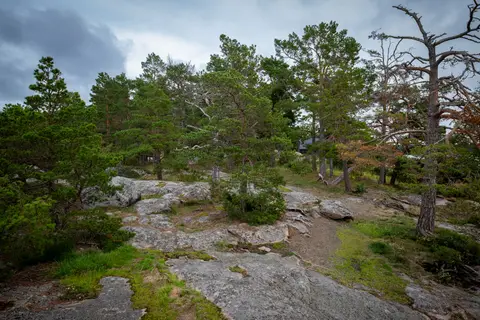 Kustavin Lootholma