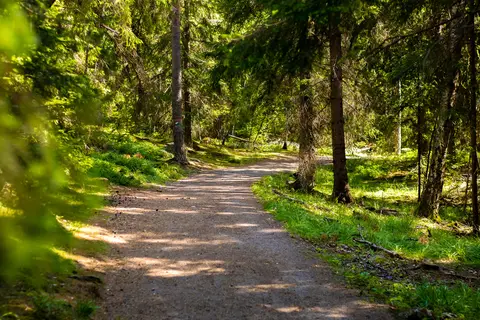 Jalavaniemi