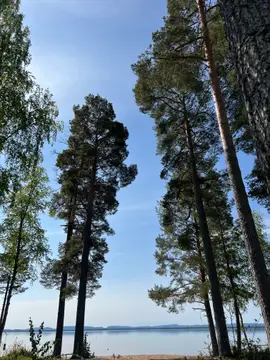 Fönebo Camping