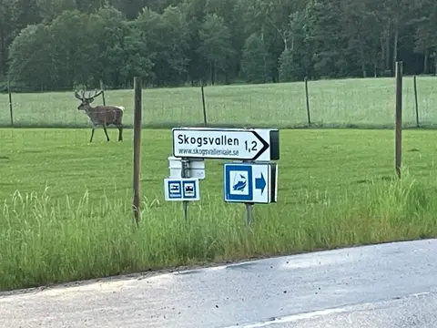 Skogsvallen i Ale