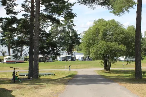 Moheds Camping