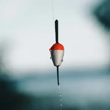 Mjölknabbens Camping