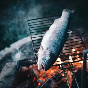 Mjölknabbens Camping