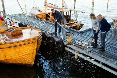 Grebbestad Fjorden