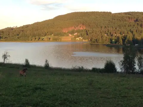 Naturcamping Munkbysjön