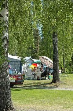 Liens Camping