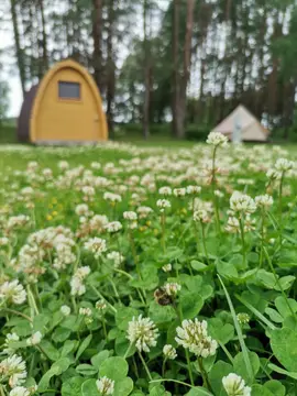 Natur Camp