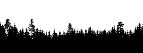 Bullarebygdens Familjecamping