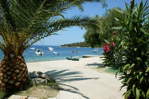 Stavros