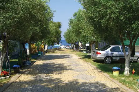 Stavros