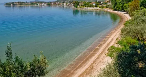 Sikia