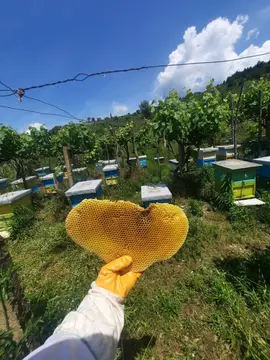 Farma Sotira