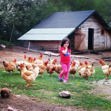 Farma Sotira