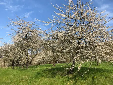 Campingplatz Waischenfeld "Steinerner Beutel"