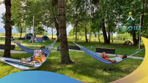 Scout Camp