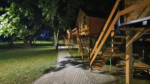 Scout Camp