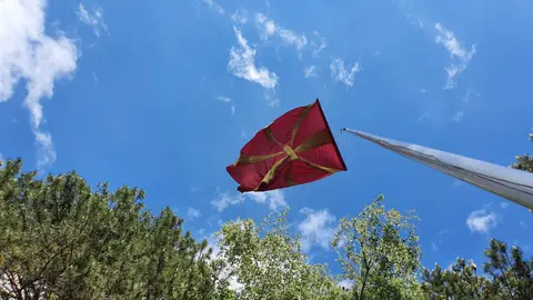 Scout Camp