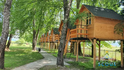 Scout Camp