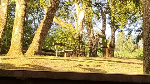 Campingplatz Tannenhof