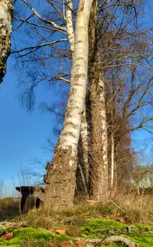 Campingplatz Tannenhof