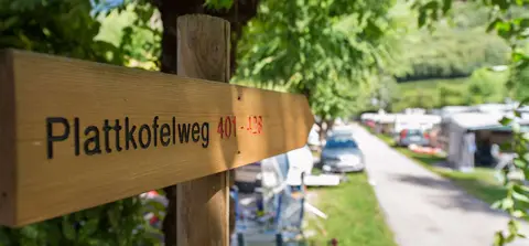 Camping Steiner
