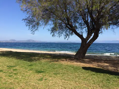 Camping Nea Makri