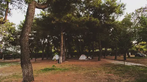 Camping Sylvia
