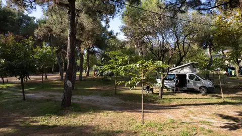 Camping Sylvia