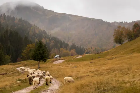 Katun Reljina camp
