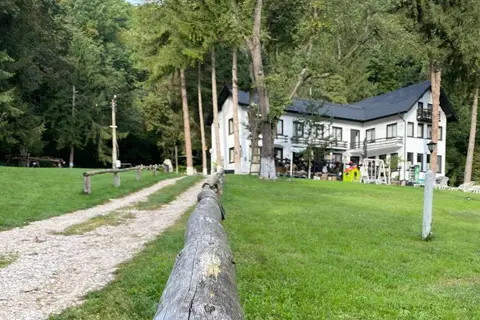 Camping Starite Borove