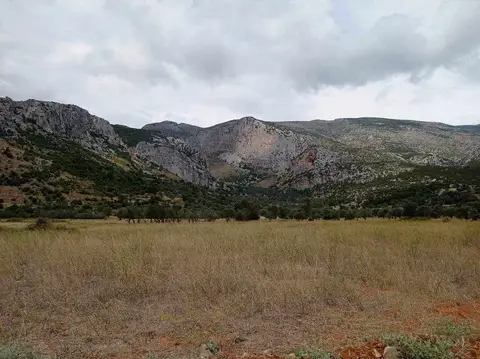 Dragonera Cliffs