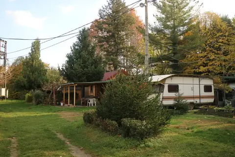 Јабуков цвет