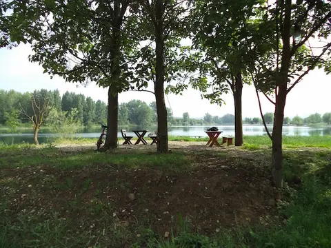 Оаза