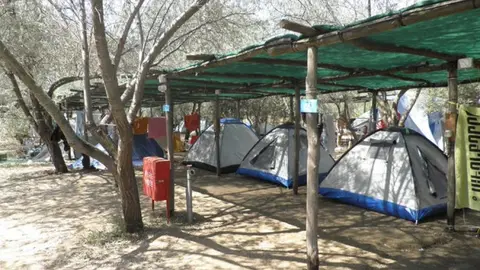Αλυκές
