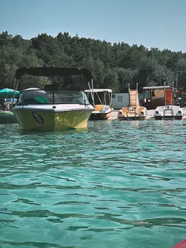 Αρμενιστής