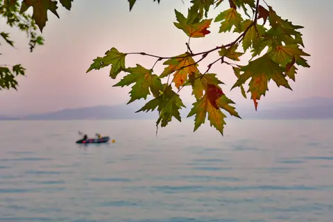 Hellas