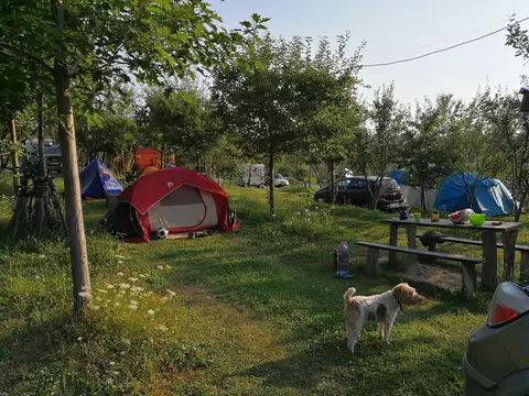 Camping Ananas